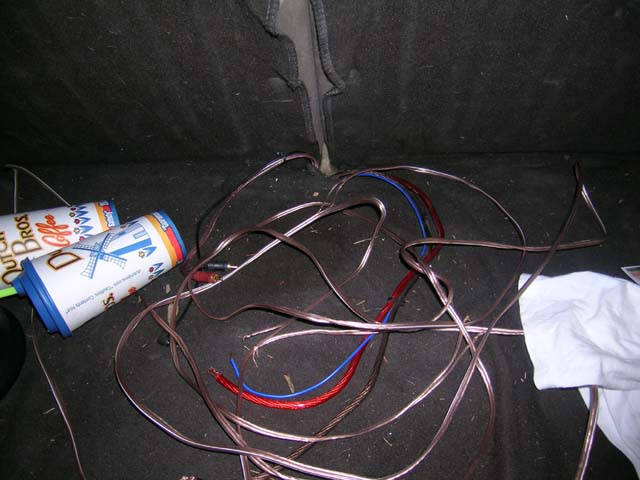 my trunk