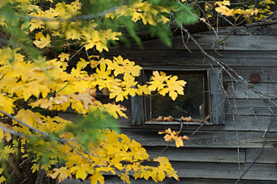 cabin