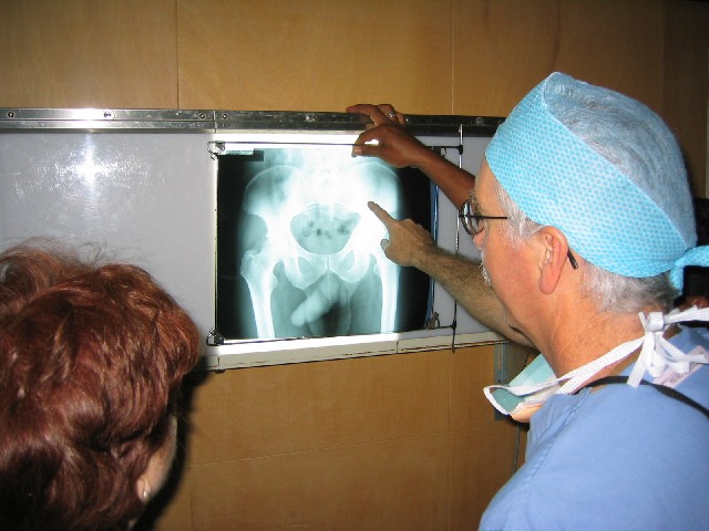 Photograph