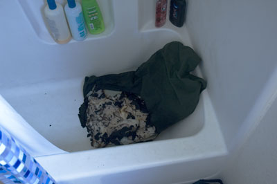 burned pillow